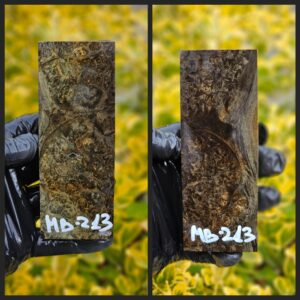 mb213