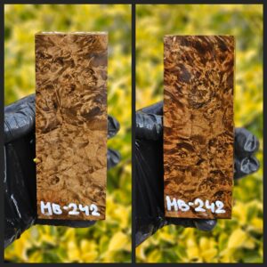 mb242