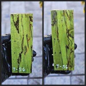 t56