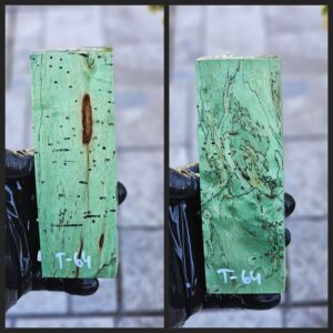 T64