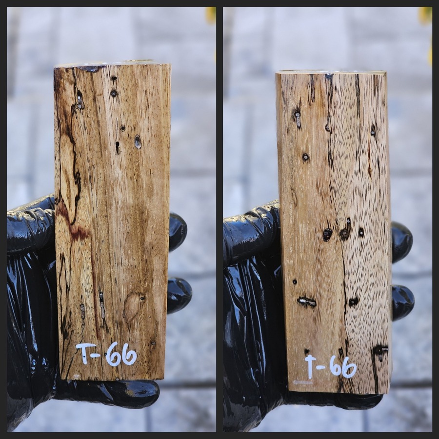 T66