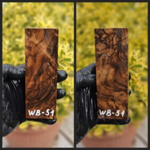 wb51