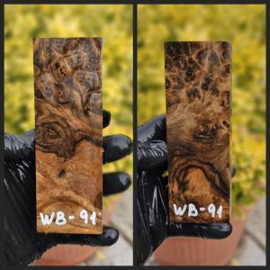 wb91
